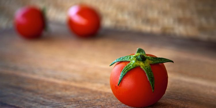 tomato, fresh, red tomato, produce, harvest, organic, fresh produce, healthy, food, ripe tomato, fresh tomato, fresh food, diet, tomato, tomato, tomato, tomato, tomato